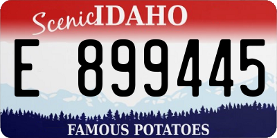 ID license plate E899445