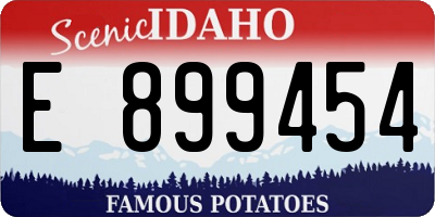 ID license plate E899454