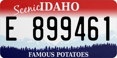 ID license plate E899461