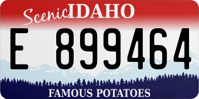 ID license plate E899464