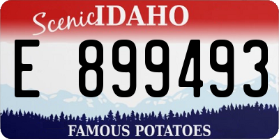 ID license plate E899493