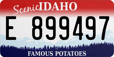 ID license plate E899497