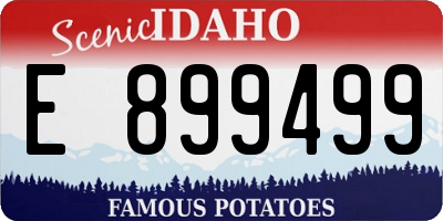 ID license plate E899499