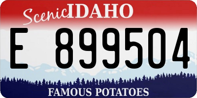 ID license plate E899504
