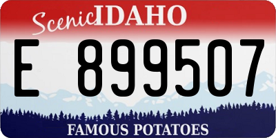ID license plate E899507