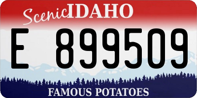 ID license plate E899509