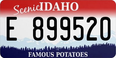 ID license plate E899520