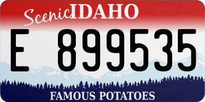ID license plate E899535