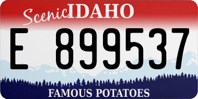 ID license plate E899537