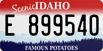 ID license plate E899540