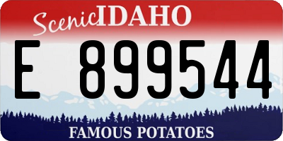ID license plate E899544