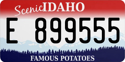 ID license plate E899555