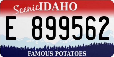ID license plate E899562