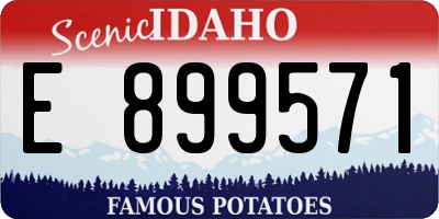 ID license plate E899571