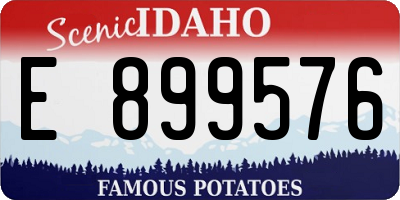 ID license plate E899576