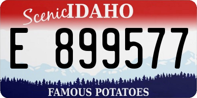 ID license plate E899577