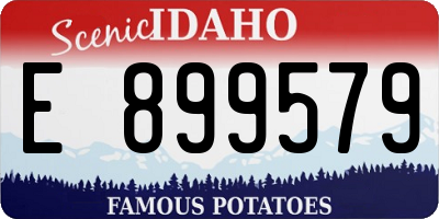 ID license plate E899579