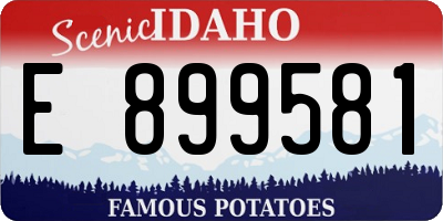 ID license plate E899581