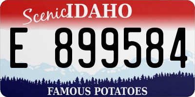 ID license plate E899584