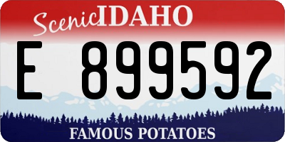 ID license plate E899592