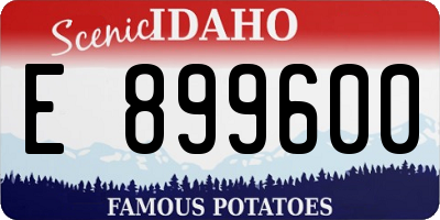 ID license plate E899600