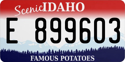 ID license plate E899603