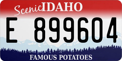 ID license plate E899604