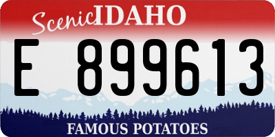 ID license plate E899613