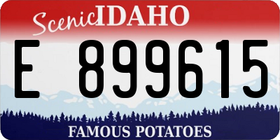 ID license plate E899615