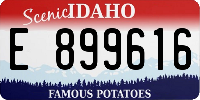 ID license plate E899616