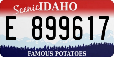 ID license plate E899617