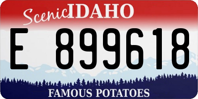 ID license plate E899618