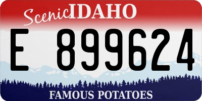 ID license plate E899624