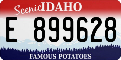 ID license plate E899628