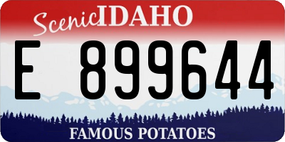 ID license plate E899644