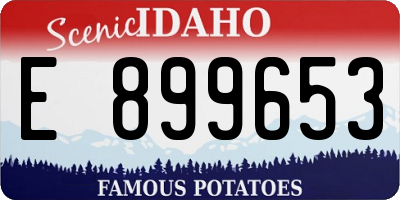 ID license plate E899653