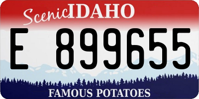 ID license plate E899655