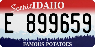 ID license plate E899659