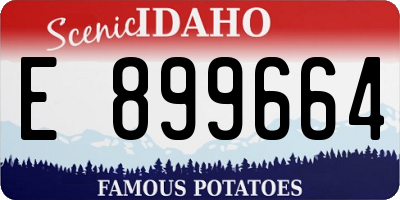 ID license plate E899664