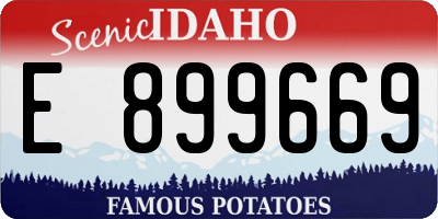ID license plate E899669