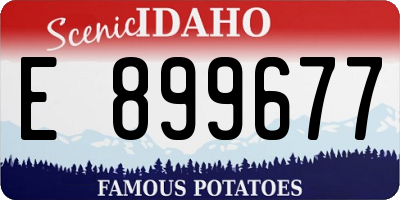ID license plate E899677