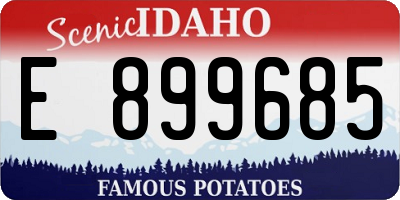 ID license plate E899685