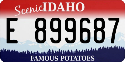ID license plate E899687