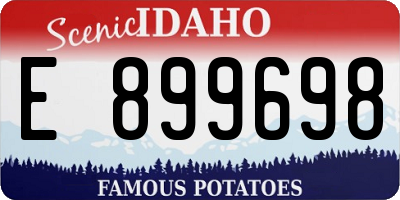 ID license plate E899698
