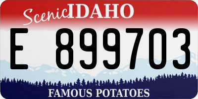 ID license plate E899703