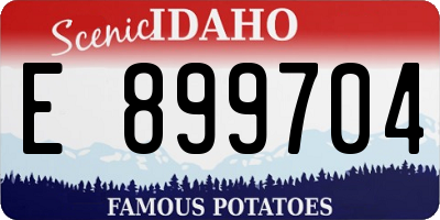 ID license plate E899704