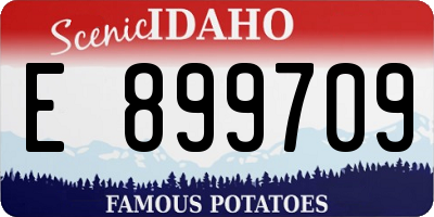 ID license plate E899709