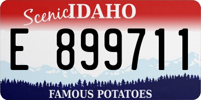 ID license plate E899711