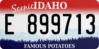 ID license plate E899713