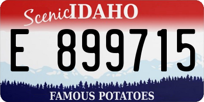 ID license plate E899715